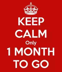 Picture of Keep calm only 1 MONTH TO GO - Picture 1 of 1