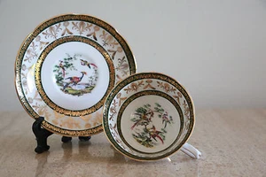 Vintage Royal Grafton Fine Bone China "Paradiesvogel" Tasse & Untertasse (116) - Bild 1 von 3