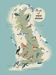 Birds Of Great Britain small metal sign 200mm x 150mm - Picture 1 of 1