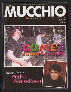 WILDHAUFEN 364/1999 ALMODOVAR GOMEZ VAN DYKE PARKS ZUSAMMENFASSUNG WALKABOUTS - Bild 1 von 1