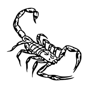 Scorpion Sticker - Zodiac Scorpio Decal - Select Color and Size - Picture 1 of 9