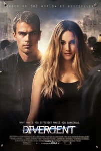 Póster original de una hoja de película Divergente - 2014 - Imagen 1 de 8