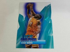 Steve Hamer Celtics 1996-97 Collector's Edge Ice Sculpture Rookie RC #15