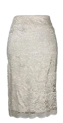 Monroe & Main Skirt Sz 6 Beige Lace Evening Special Social Dress Casual Pencil S - Imagem 1 de 4