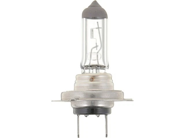 Bombilla de faro Philips 63177MJGB 1999 para Audi A6 Quattro 1998-2014, 2016-2018 Foto 1 de 2
