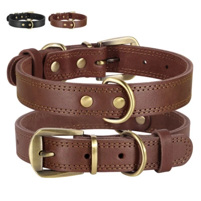 Collar de perro de cuero genuino hebilla de metal de alta resistencia para perros pequeños medianos grandes Foto 1 de 4