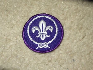 Boy Scout BSA Cub Venture Exploring International Uniform World Crest Patch - Picture 1 of 1