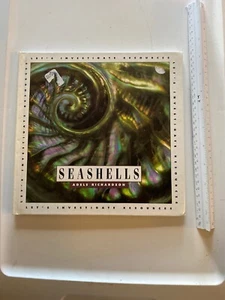 Seashells by Adele D. Richardson 7-261N - Picture 1 of 1