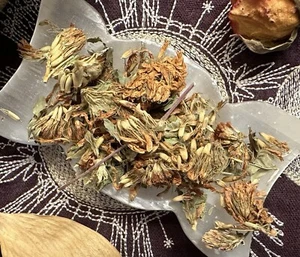 White Clover Flowers And Leaves, Luck, End Crossed Situations, Evil Protection - Imagen 1 de 2