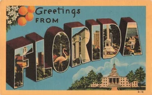 Florida Large Letter Postcard Greetings Multi View c 1940s LL2 - Picture 1 of 2