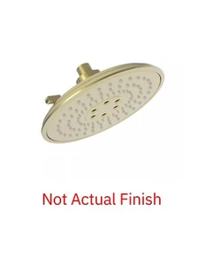 Newport Brass 2157/034 Multifunction Showerhead - Picture 1 of 4