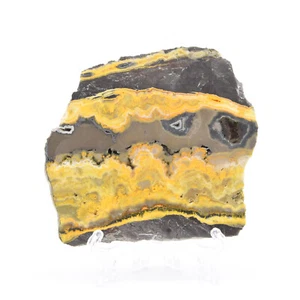 1x Bumblebee Jasper Slab 143g, Cabbing, Lapidary, Gemstone Rough - Bild 1 von 2