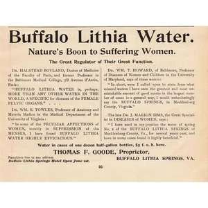 1892 Buffalo Lithia Water Vintage Advertisement Medicinal Cures Quack Medicine - Picture 1 of 1
