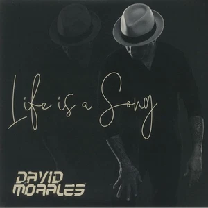 MORALES, David/VARIOUS - Life Is A Song - Vinyl (limited 2xLP + insert) - Picture 1 of 1
