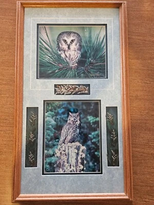 Stunning Owl Photograpghs Signed by Photographer James Jones (?) - Image 1 of 4