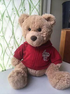"Aeropostale 2010 oso de peluche con sudadera con capucha roja 16""" Foto 1 de 4