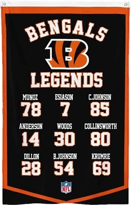 Bandera del Salón de la Fama del Super Bowl de los Cincinnati Bengals Fútbol americano 3x5 pies pancarta de la NFL Foto 1 de 2
