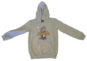 Chicago Cubs 2016 World Series Champions Hoodie Sweatshirt Gray Youth M (10/12) - Picture 1 of 9