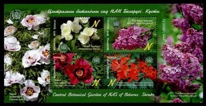 Blumen im Botanischer Garten, Minsk. Block. Belarus 2015 - Bild 1 von 1