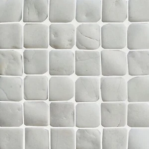 Molar 5 weiße Kiesel Mosaikfliese für Wand (13,89 $/Quadratfuß) - Bild 1 von 10