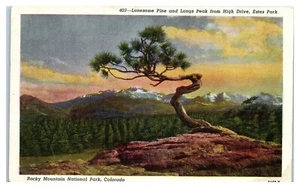 Postal de Lonesome Pine and Longs Peak en el Parque Nacional de las Montañas Rocosas Colorado - Imagen 1 de 2