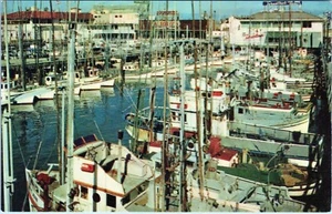 1616 Fishing Fleet Fisherman's Warf San Francisco California Postcard Unposted  - Picture 1 of 2