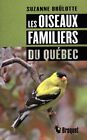 I Uccelli Famigli Del Quebec Brûlotte Suzanne Molto Buono Condizioni