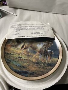 Danbury Mint Welcome the Dawn Wild and Free Horse Porcelain Plate Ltd Ed 23K NOS