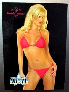 RARE 2004 BENCH WARMER UPDATE SET INSERT CHASE CARD SUBSETS - (#201-#250) - NM - Bild 1 von 13