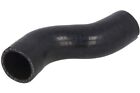 THERMOTEC DCF124TT Charge Air Hose Fits Fiat Jeep