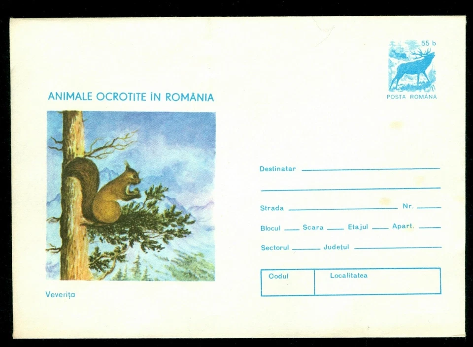 Ardilla 1977, Eichhorn, aves y animales protegidos, Rumania, cubierta Foto 1 de 1