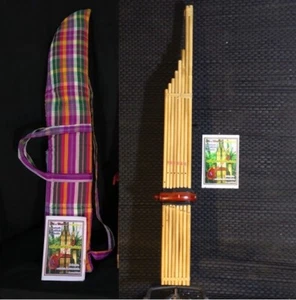 Thai Khaen Bambú Laos Isan Boca Órgano Musical Dm Key con bolsa - Imagen 1 de 2