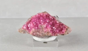 Cobaltoan Calcite / Cobaltoan Dolomite from Congo 5.8 cm # 20707 - Picture 1 of 10