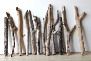 Madera flotante Driftwood 12 ramas decoración manualidades 32-43 cm *E51* - Imagen 1 de 19