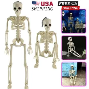 Halloween Human Skeleton Oversized Poseable 16.14inch Decoration Party Prop! - Picture 1 of 12