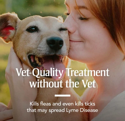 PETARMOR家用地毯粉杀死跳蚤蜱控制除臭16盎司持久 — 第 1/4 张图片