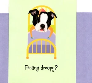 Funny Get Well Soon Boston Terrier Feeling Poopy Droopy Hallmark Greeting Card - Picture 1 of 3