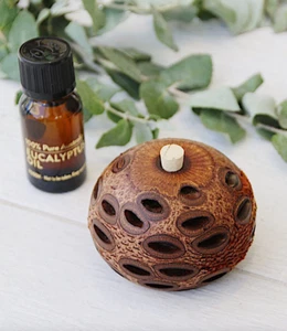 Difusor de cápsulas Banksia - Alta calidad - Hecho profesionalmente - - Imagen 1 de 5