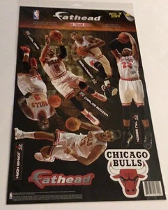 Chicago Bulls Team Deng Rose Gibson Noah Boozer NBA Teammates Fathead new wall - Picture 1 of 1