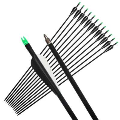 Archery 31" Fiberglass Arrows Outdoor Target Points Recurve Bow Shooting Hunting - Image 1 of 4