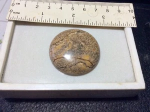 AGATA BRASILIANA CABOCHON NATURALE CARATI 87,50 - Foto 1 di 2