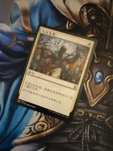 Magic The Gathering - 1x Espadas a Rejas de Arado - Maestros Eternos - Chino - Magic the Gathering - Imagen 1 de 1