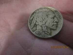 Sale Collector 1937 D Buffalo Head Nickel Good Shape - Picture 1 of 2