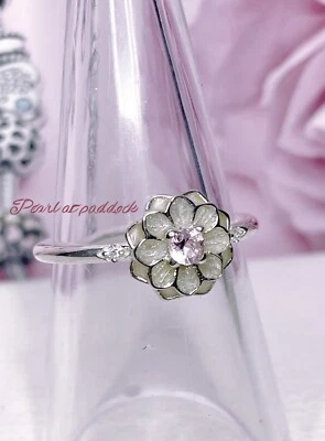 Auténtico Pandora Pandora Floreciente Dalia Rosa Circonita Anillo En Caja Anillo 50 Talla 5 Foto 1 de 2
