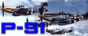 North American P-51 Mustang DVD + Pilot's Manual - Picture 1 of 1