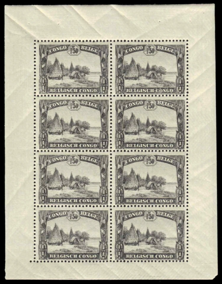 BELGIAN CONGO 149b - Pueblo de Mondimbi "Panel de folleto" (pa68053) Foto 1 de 1