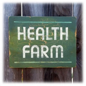 Health Farm Spa Schild Vintage Stil handbemalt - Bild 1 von 5