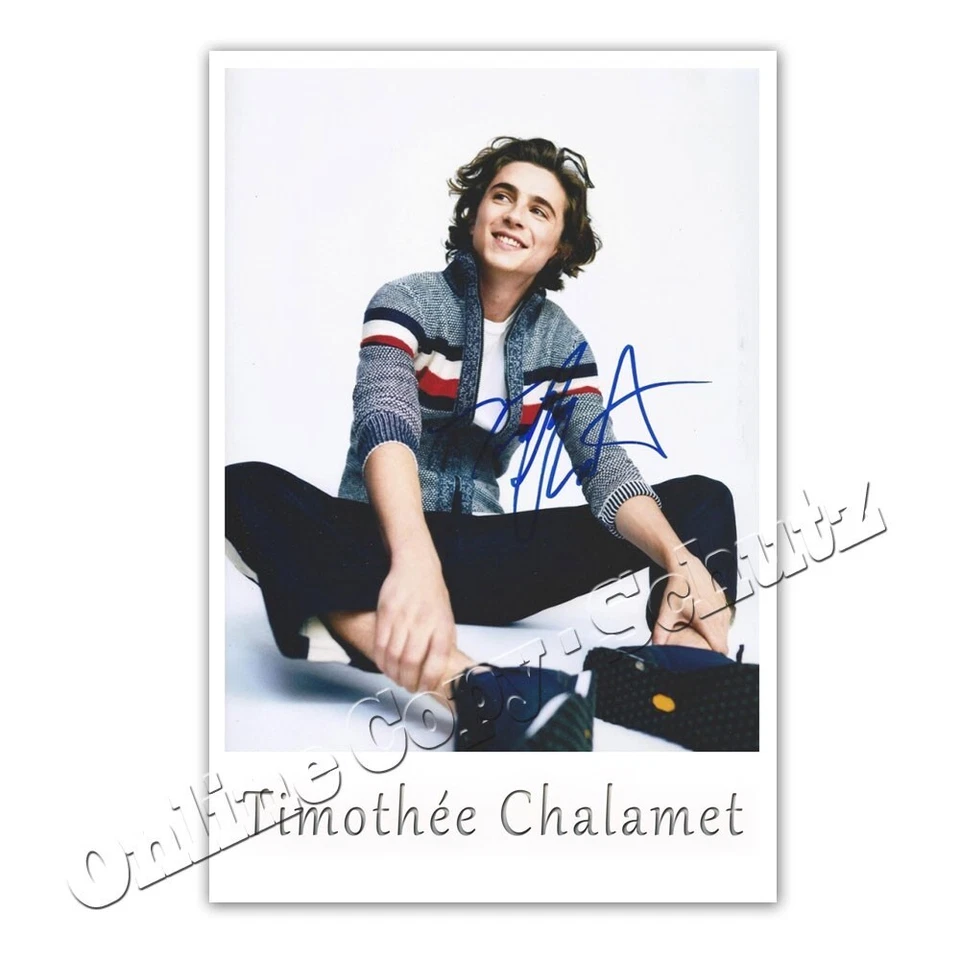 Timothée Chalamet   ++  Autogrammfoto / autograph - Bild 1 von 1
