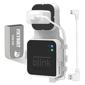 256GB Blink USB Flash Drive and Sync Module 2 Mount Space Saving and Easy Mov... - Picture 1 of 7