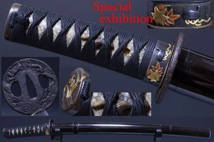 Japón antiguo dragón koshirae waki katana espada tsuba yoroi samurai Busho 7062 - Imagen 1 de 14